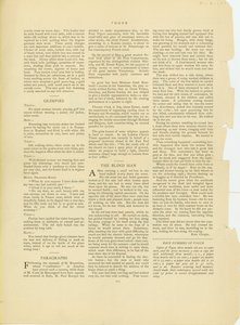 صورة غير معروفة بواسطة كيت شوبان